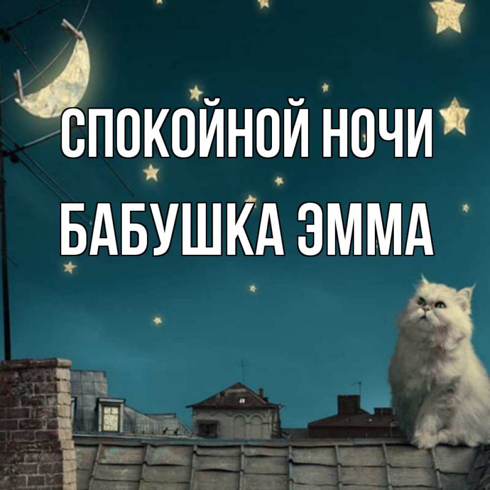 Открытка на каждый день с именем, Бабушка-Эмма Спокойной ночи белый кот сидит на крыше Прикольная открытка с пожеланием онлайн скачать бесплатно 