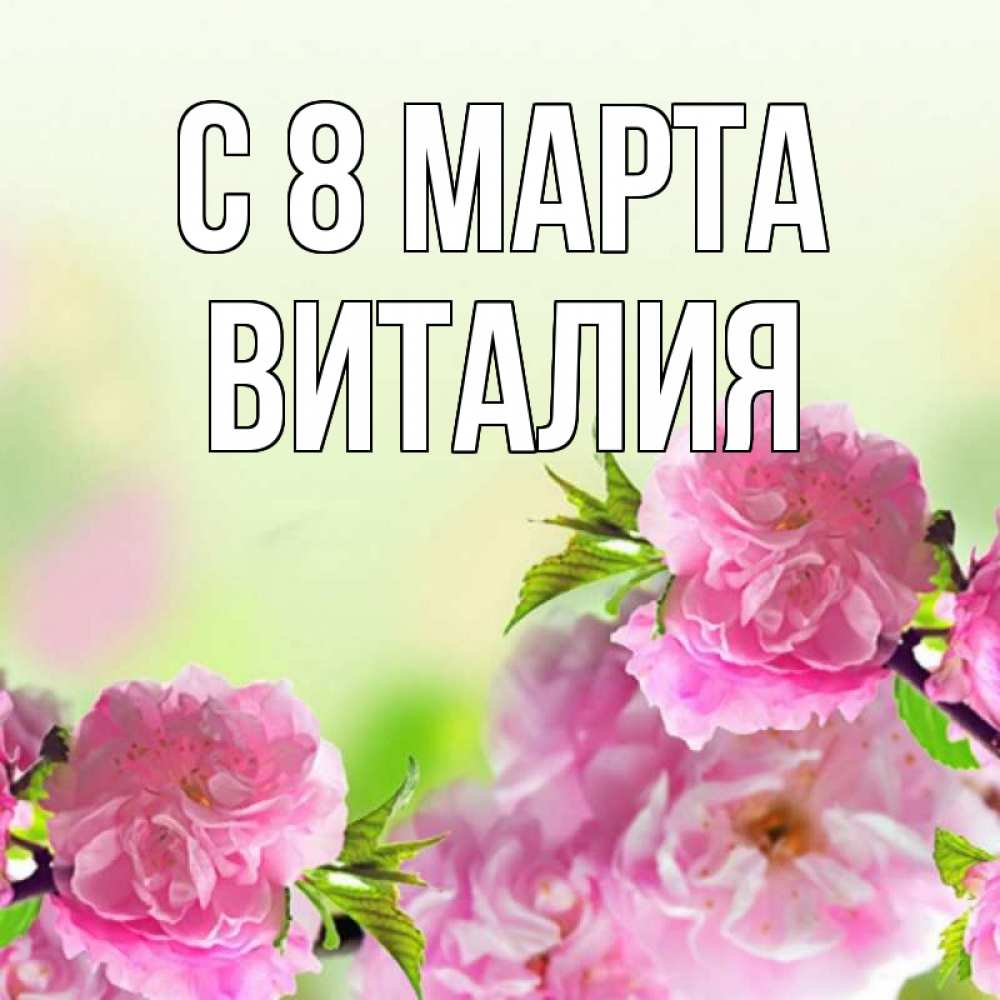 Открытка на каждый день с именем, Виталия С 8 марта цветы Прикольная открытка с пожеланием онлайн скачать бесплатно 