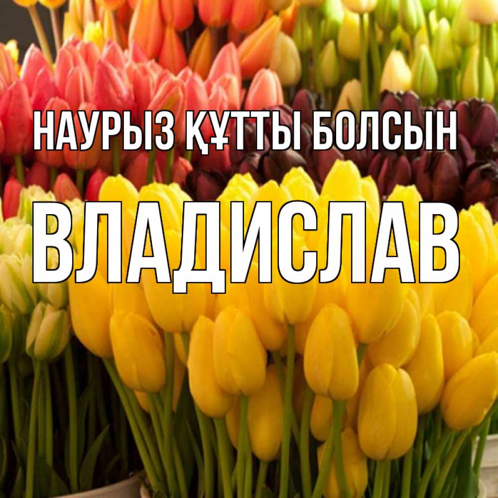 Открытка на каждый день с именем, Владислав Наурыз құтты болсын цветы Прикольная открытка с пожеланием онлайн скачать бесплатно 