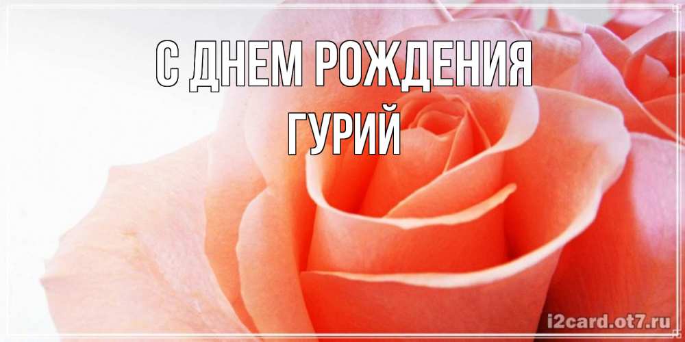 Открытка на каждый день с именем, Гурий С днем рождения розы для поздравления с днем рождения Прикольная открытка с пожеланием онлайн скачать бесплатно 