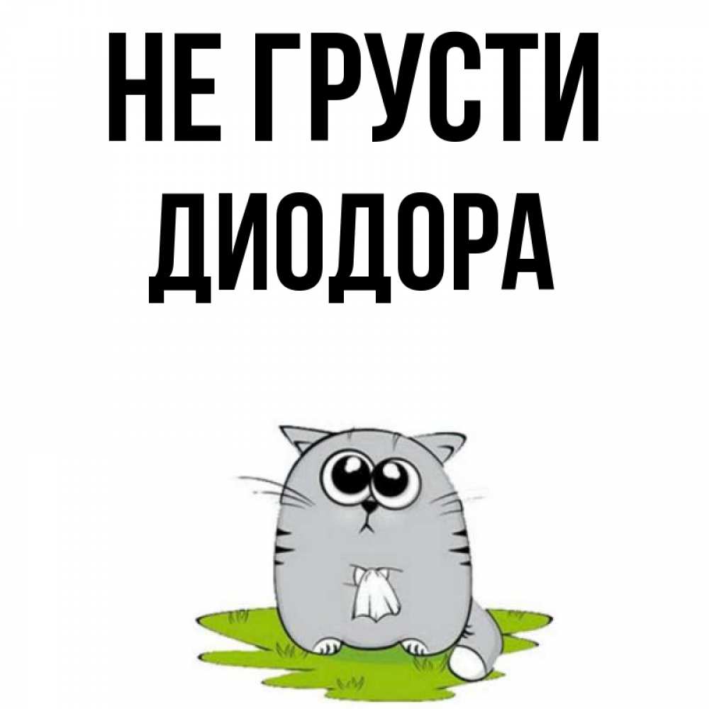 Открытка на каждый день с именем, Диодора Не грусти грустный котяра Прикольная открытка с пожеланием онлайн скачать бесплатно 