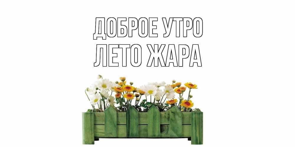 Открытка на каждый день с именем, Лето-жара Доброе утро цветы Прикольная открытка с пожеланием онлайн скачать бесплатно 