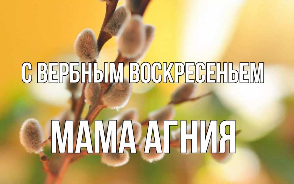 Открытка на каждый день с именем, Мама-Агния С вербным воскресеньем верба Прикольная открытка с пожеланием онлайн скачать бесплатно 