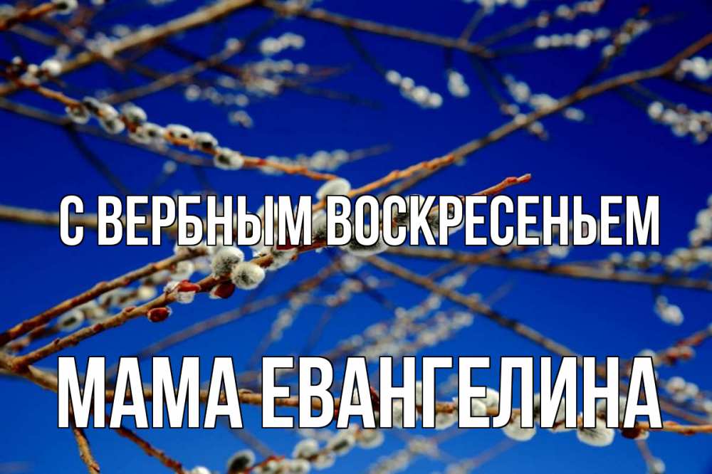 Открытка на каждый день с именем, Мама-Евангелина С вербным воскресеньем верба Прикольная открытка с пожеланием онлайн скачать бесплатно 
