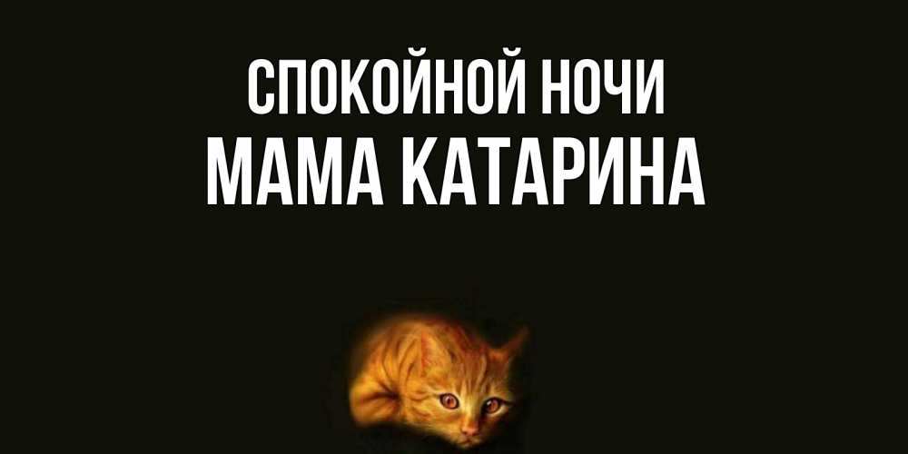 Открытка на каждый день с именем, Мама-Катарина Спокойной ночи кот Прикольная открытка с пожеланием онлайн скачать бесплатно 