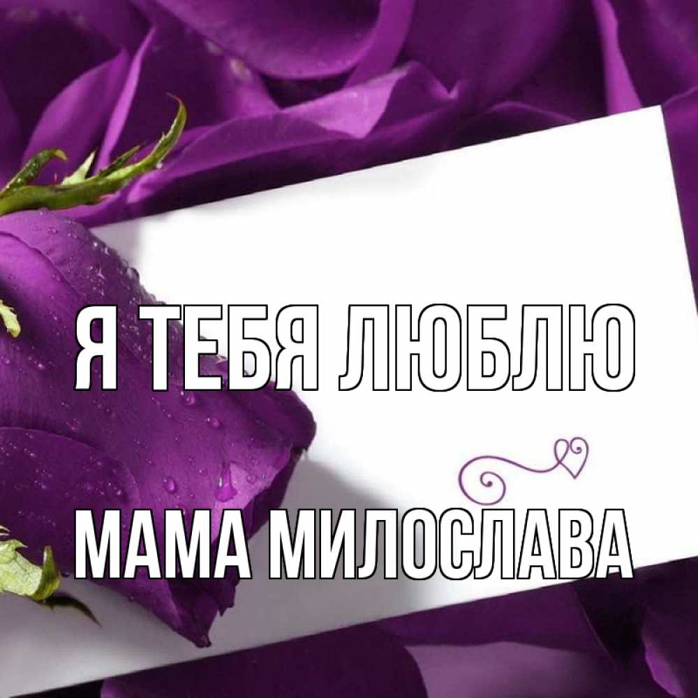 Открытка на каждый день с именем, Мама-Милослава Я тебя люблю роза Прикольная открытка с пожеланием онлайн скачать бесплатно 