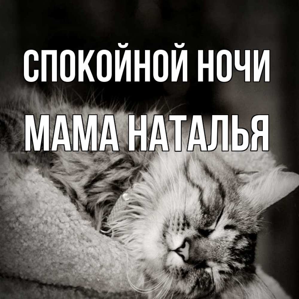 Открытка на каждый день с именем, Мама-Наталья Спокойной ночи котярик пушистый Прикольная открытка с пожеланием онлайн скачать бесплатно 