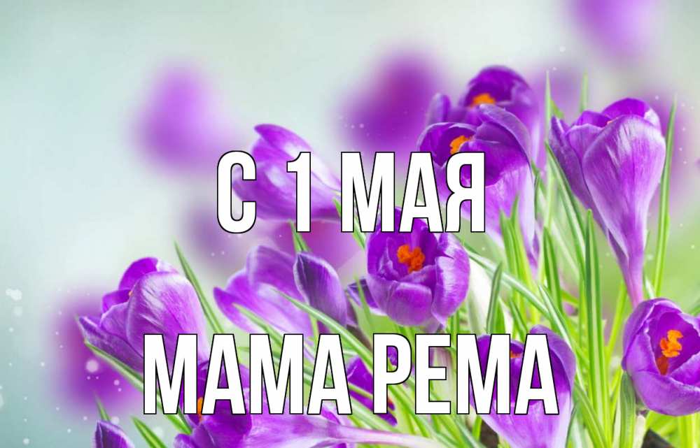 Открытка на каждый день с именем, Мама-Рема С 1 мая 1 мая Прикольная открытка с пожеланием онлайн скачать бесплатно 