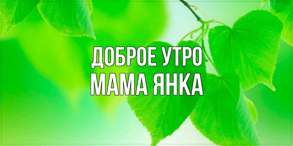 Открытка на каждый день с именем, Мама-Янка Доброе утро доброе утро с березовыми листьями Прикольная открытка с пожеланием онлайн скачать бесплатно 