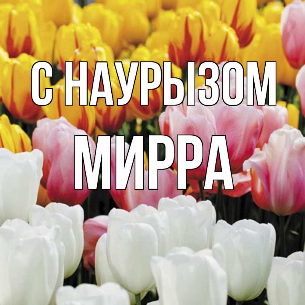 Открытка на каждый день с именем, Мирра С наурызом разноцветные цветы Прикольная открытка с пожеланием онлайн скачать бесплатно 