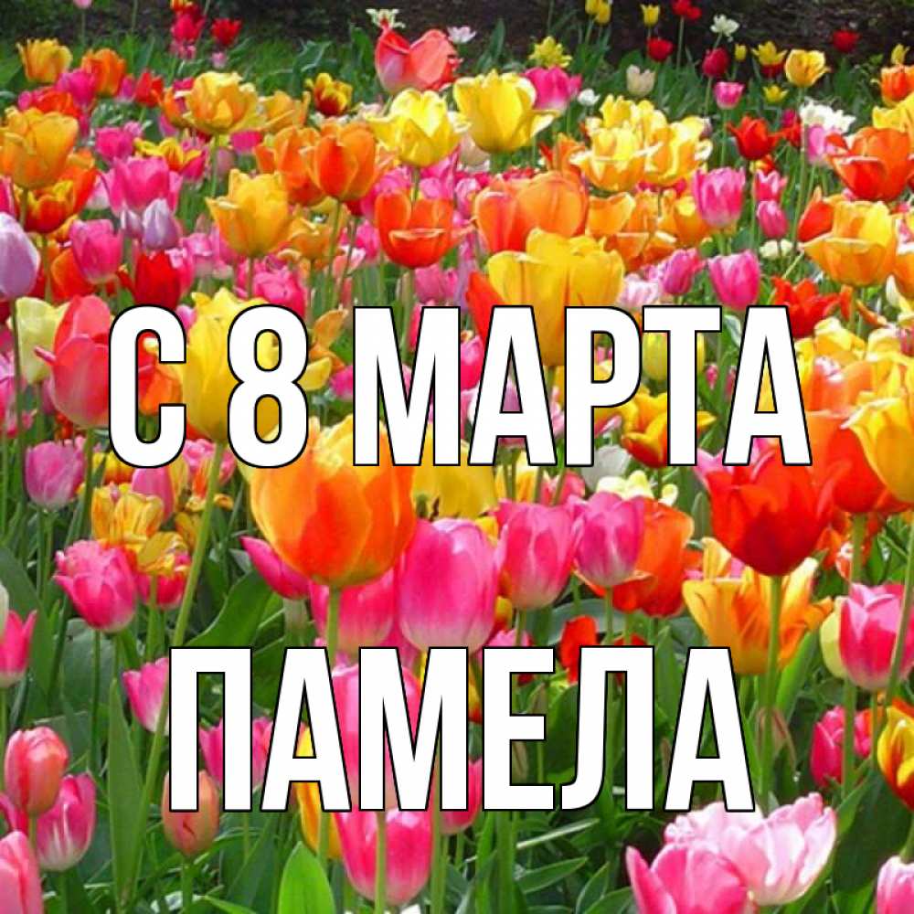 Открытка на каждый день с именем, Памела С 8 МАРТА на международный женский день Прикольная открытка с пожеланием онлайн скачать бесплатно 