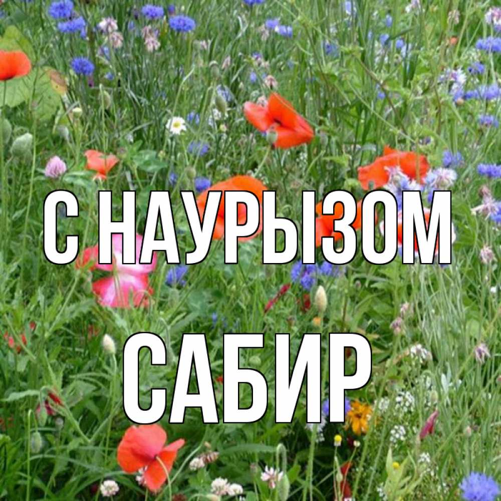 Открытка на каждый день с именем, Сабир С наурызом праздник весны наурыз супер открытка Прикольная открытка с пожеланием онлайн скачать бесплатно 
