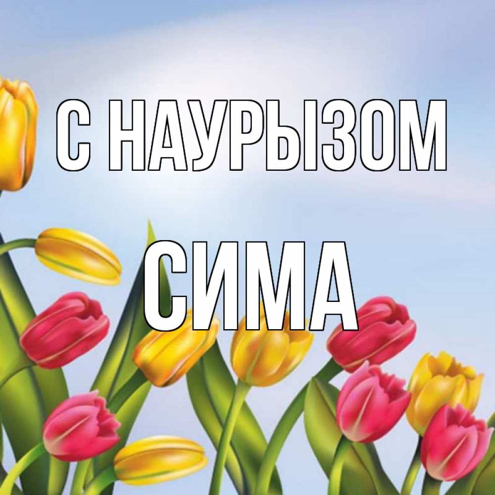 Открытка на каждый день с именем, Сима С наурызом праздник весны наурыз Прикольная открытка с пожеланием онлайн скачать бесплатно 