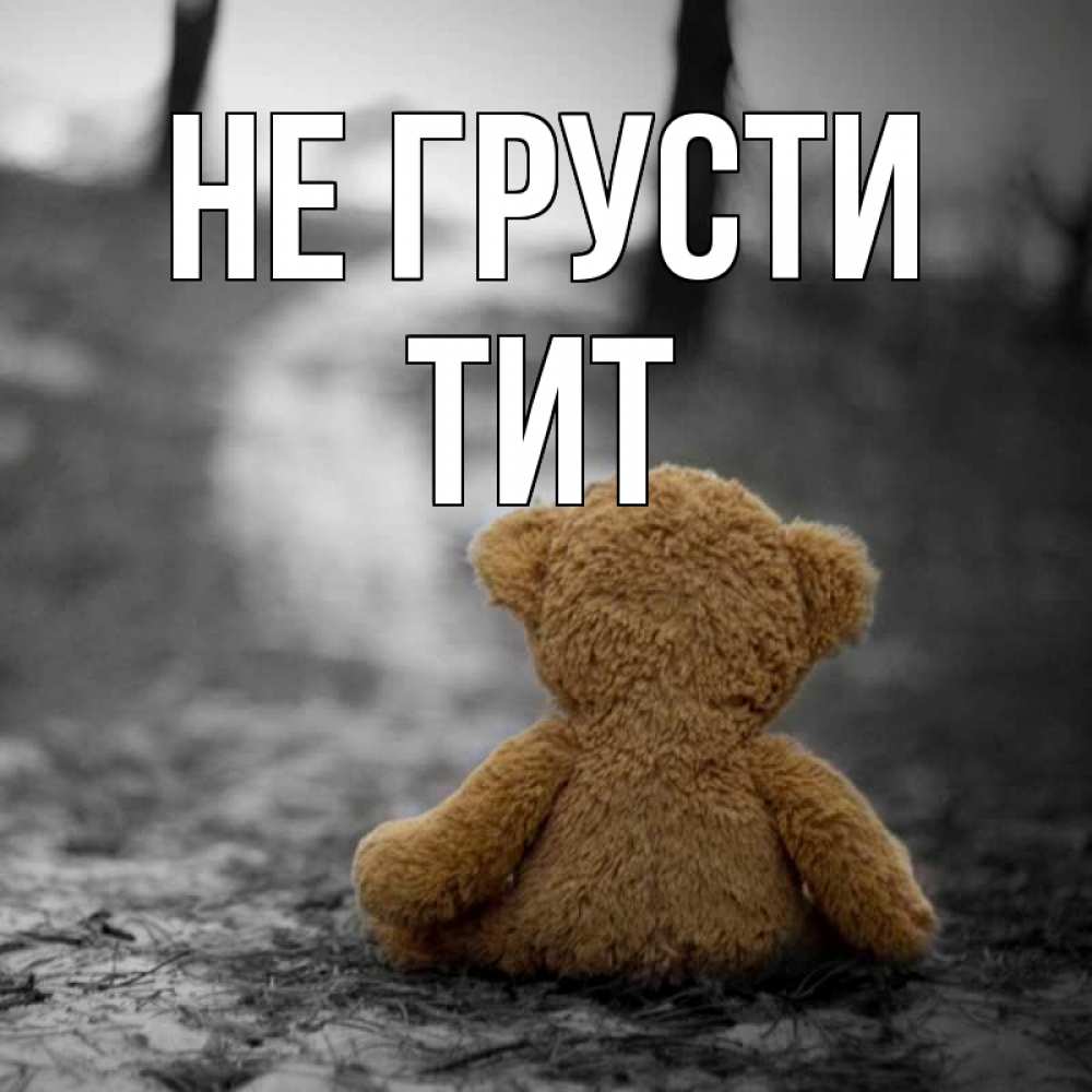 Открытка на каждый день с именем, Тит Не грусти медведь со спин Прикольная открытка с пожеланием онлайн скачать бесплатно 