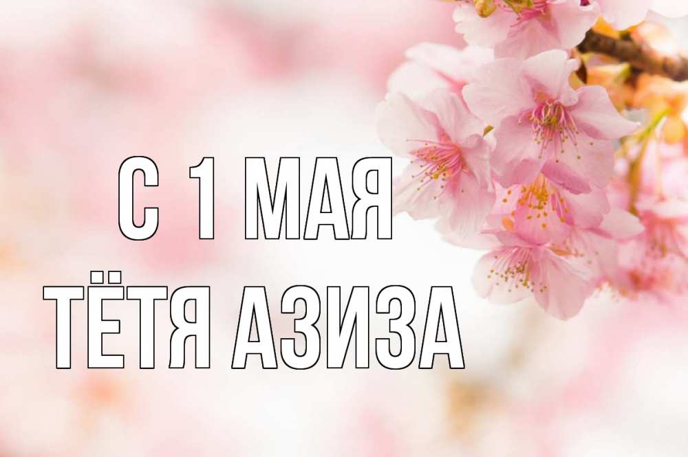Открытка на каждый день с именем, Тётя-Азиза С 1 мая С 1 мая Прикольная открытка с пожеланием онлайн скачать бесплатно 