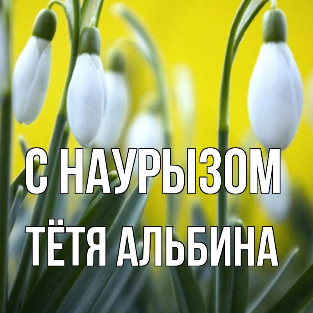 Открытка на каждый день с именем, Тётя-Альбина С наурызом весенние цветы Прикольная открытка с пожеланием онлайн скачать бесплатно 