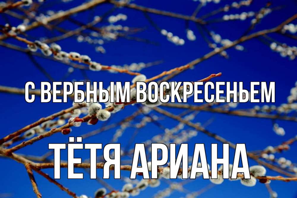 Открытка на каждый день с именем, Тётя-Ариана С вербным воскресеньем верба Прикольная открытка с пожеланием онлайн скачать бесплатно 