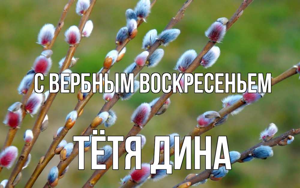 Открытка на каждый день с именем, Тётя-Дина С вербным воскресеньем верба Прикольная открытка с пожеланием онлайн скачать бесплатно 
