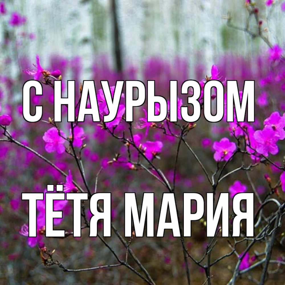 Открытка на каждый день с именем, Тётя-Мария С наурызом дикие цветы Прикольная открытка с пожеланием онлайн скачать бесплатно 
