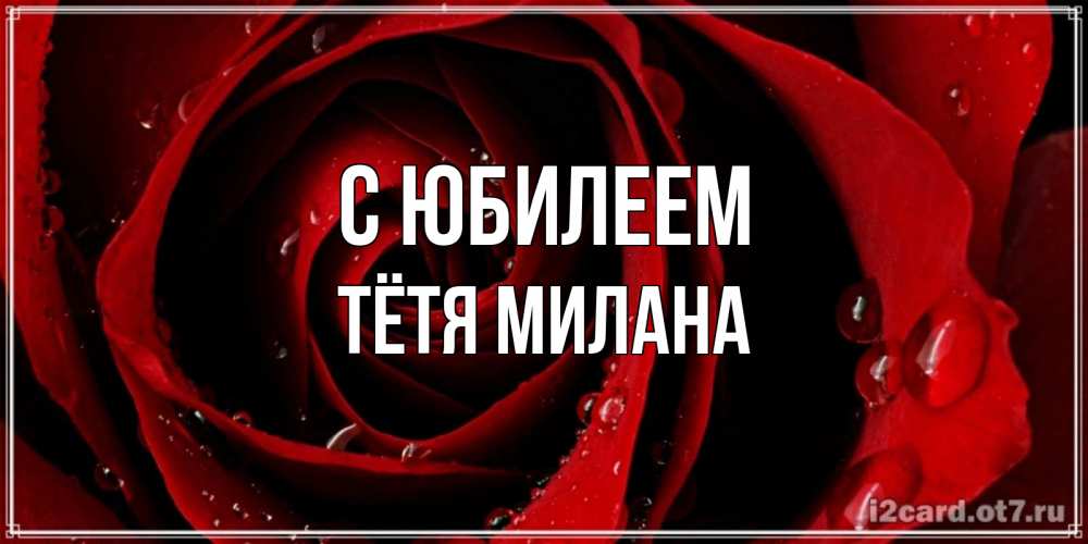 Открытка на каждый день с именем, Тётя-Милана С юбилеем крупная бордовая роза Прикольная открытка с пожеланием онлайн скачать бесплатно 