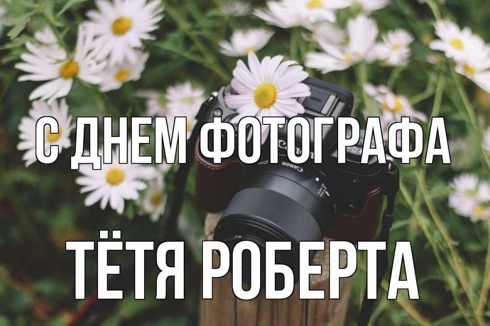 Открытка на каждый день с именем, Тётя-Роберта С днем фотографа с днем фотографа Прикольная открытка с пожеланием онлайн скачать бесплатно 