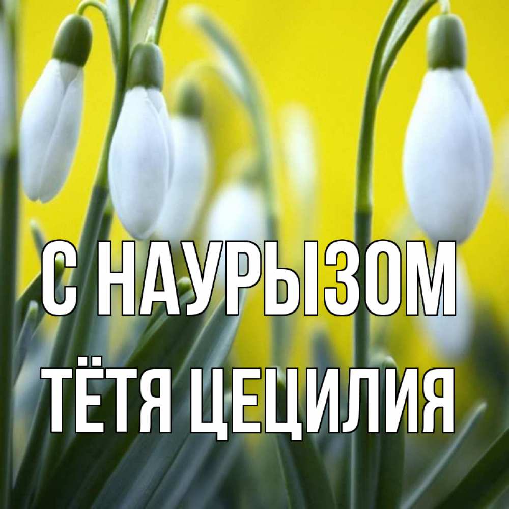 Открытка на каждый день с именем, Тётя-Цецилия С наурызом весенние цветы Прикольная открытка с пожеланием онлайн скачать бесплатно 