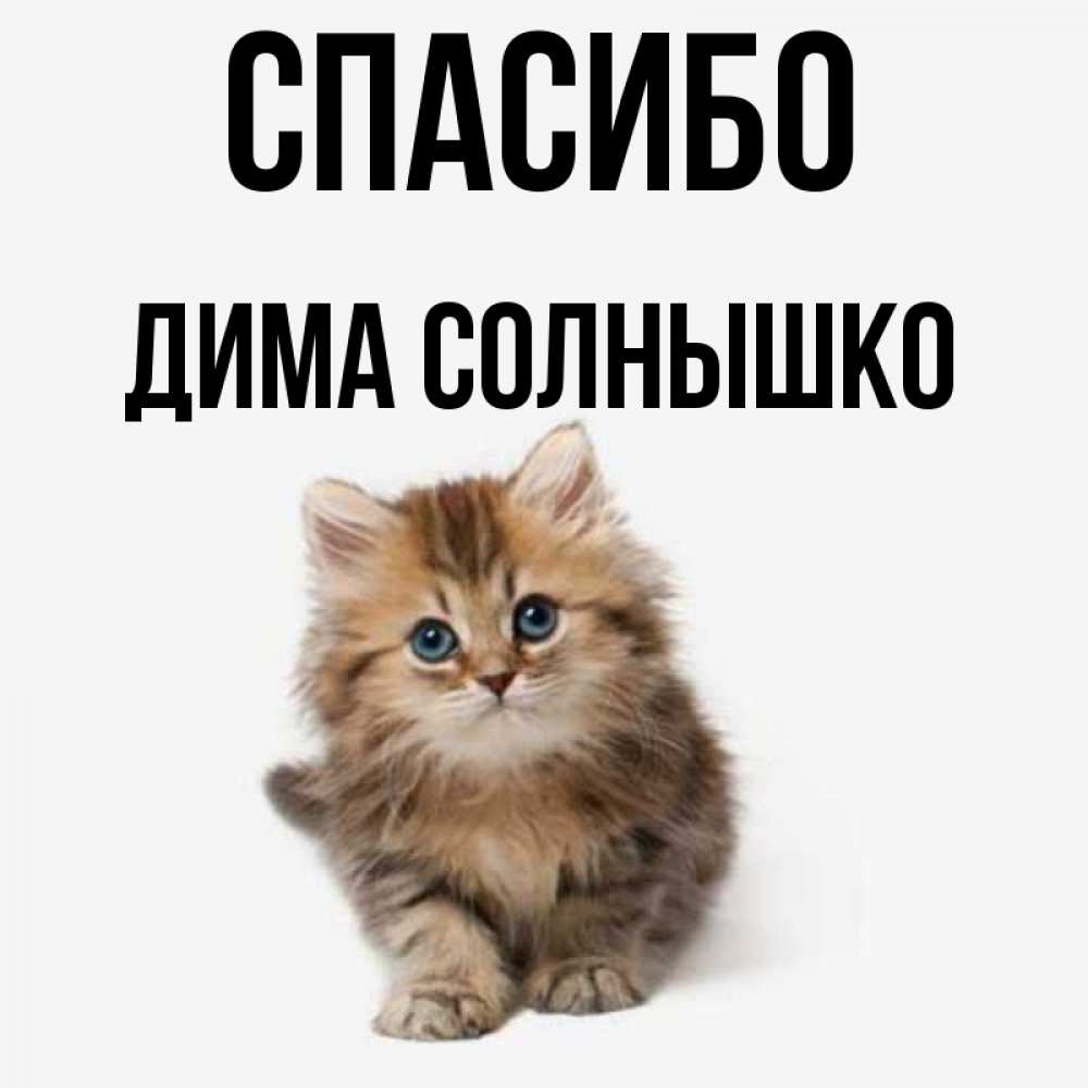 Спасибо димочка картинки