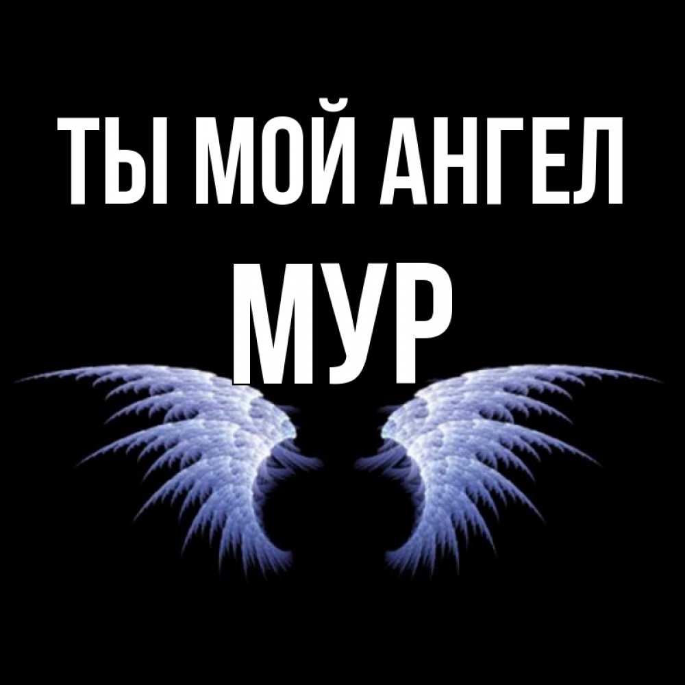 Как называется мур. Как называется мур
