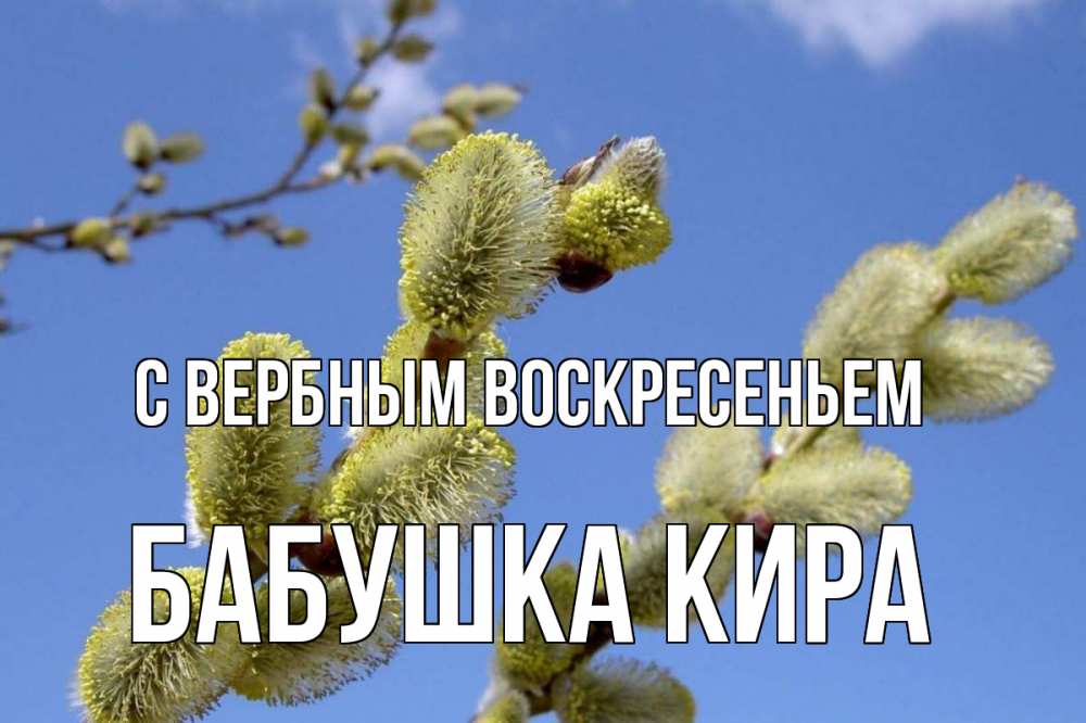 Открытка на каждый день с именем, Бабушка-Кира С вербным воскресеньем верба Прикольная открытка с пожеланием онлайн скачать бесплатно 