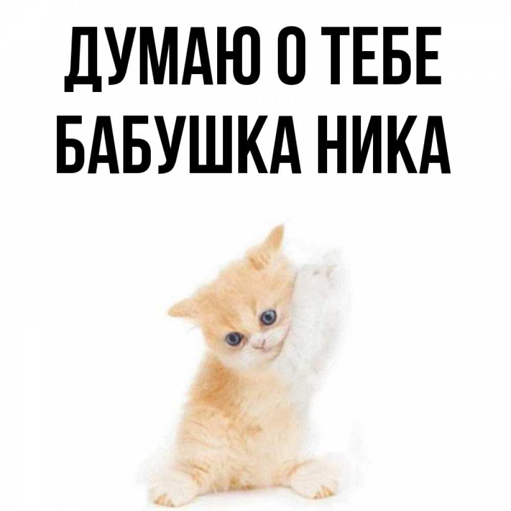 Открытка на каждый день с именем, Бабушка-Ника Думаю о тебе зверушки и милота Прикольная открытка с пожеланием онлайн скачать бесплатно 