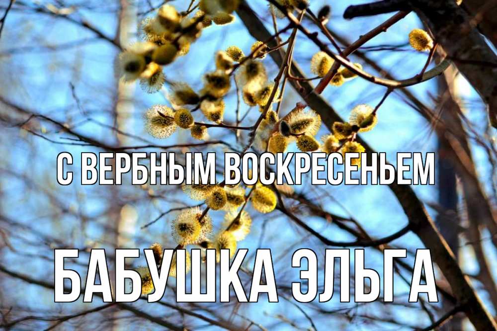 Открытка на каждый день с именем, Бабушка-Эльга С вербным воскресеньем верба Прикольная открытка с пожеланием онлайн скачать бесплатно 