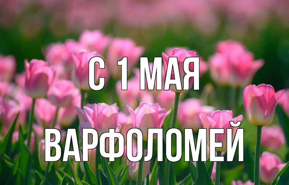 Открытка на каждый день с именем, Варфоломей С 1 мая С 1 мая Прикольная открытка с пожеланием онлайн скачать бесплатно 