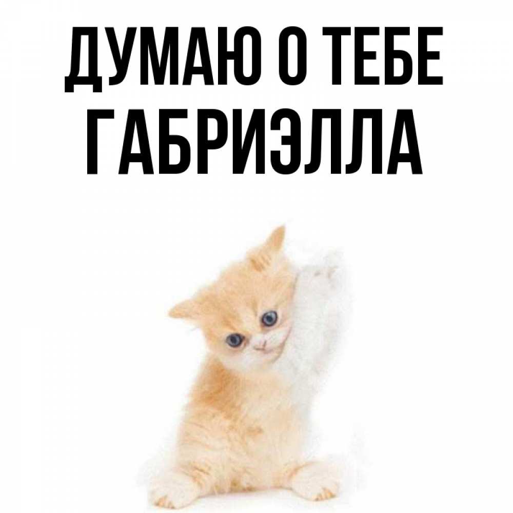 Открытка на каждый день с именем, Габриэлла Думаю о тебе зверушки и милота Прикольная открытка с пожеланием онлайн скачать бесплатно 