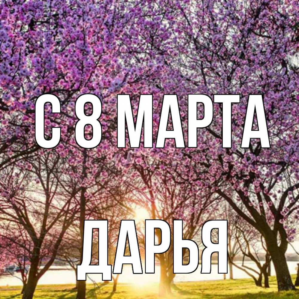 Открытка на каждый день с именем, Дарья С 8 МАРТА международный женский день Прикольная открытка с пожеланием онлайн скачать бесплатно 