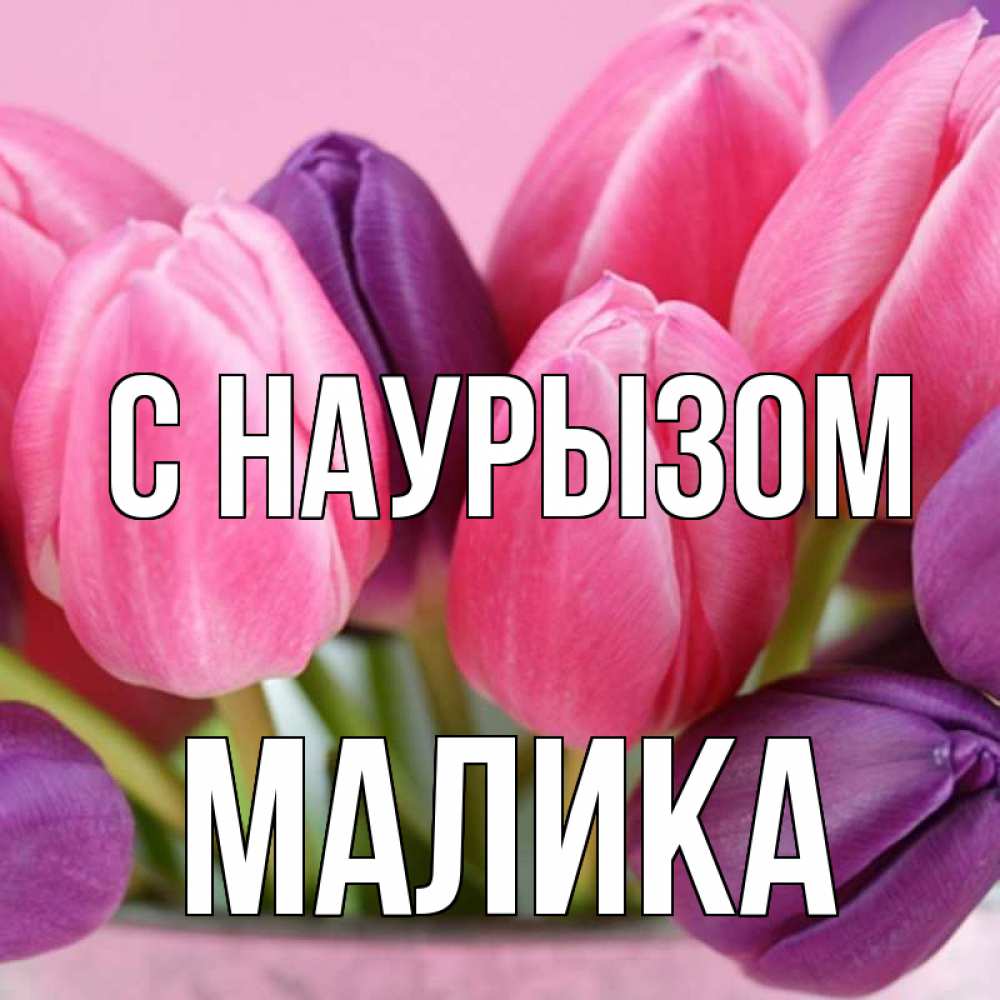 Открытка на каждый день с именем, Малика С наурызом маме 1 Прикольная открытка с пожеланием онлайн скачать бесплатно 