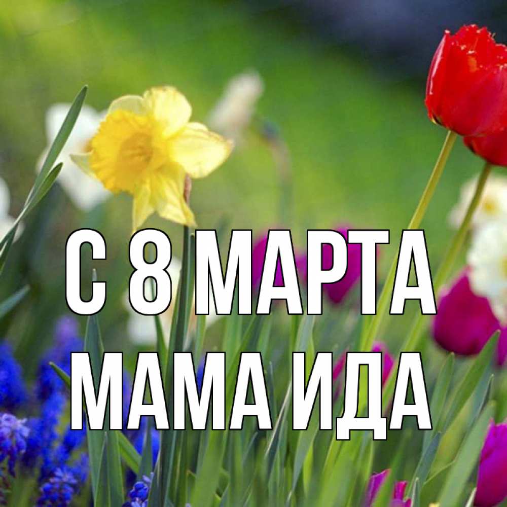 Открытка на каждый день с именем, Мама-Ида С 8 МАРТА международный женский день 3 Прикольная открытка с пожеланием онлайн скачать бесплатно 