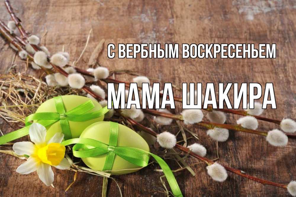Открытка на каждый день с именем, Мама-Шакира С вербным воскресеньем верба Прикольная открытка с пожеланием онлайн скачать бесплатно 