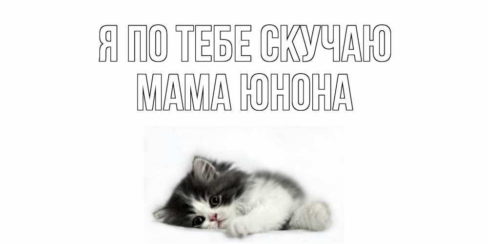 Открытка на каждый день с именем, Мама-Юнона Я по тебе скучаю кот, скука Прикольная открытка с пожеланием онлайн скачать бесплатно 