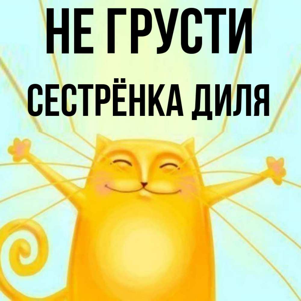 Открытка на каждый день с именем, Сестрёнка-Диля Не грусти обнимашки усатые Прикольная открытка с пожеланием онлайн скачать бесплатно 