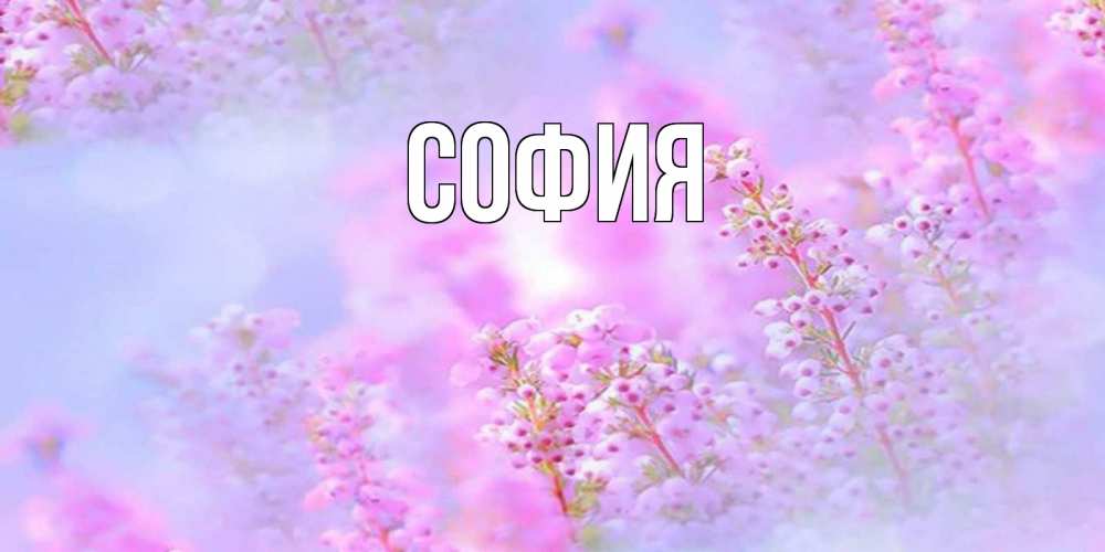 Открытка на каждый день с именем, София Главная красивая открытка с мелкими цветами Прикольная открытка с пожеланием онлайн скачать бесплатно 