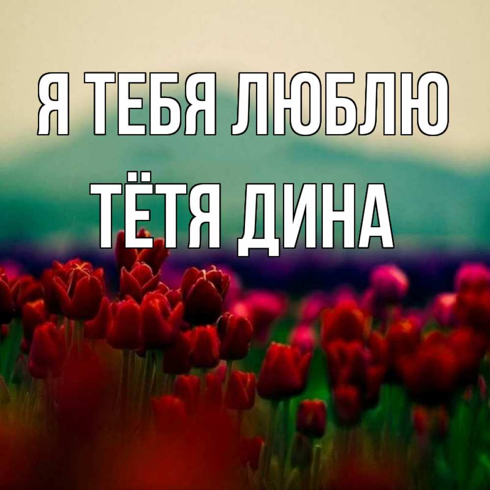 Открытка на каждый день с именем, Тётя-Дина Я тебя люблю тюльпаны 4 Прикольная открытка с пожеланием онлайн скачать бесплатно 
