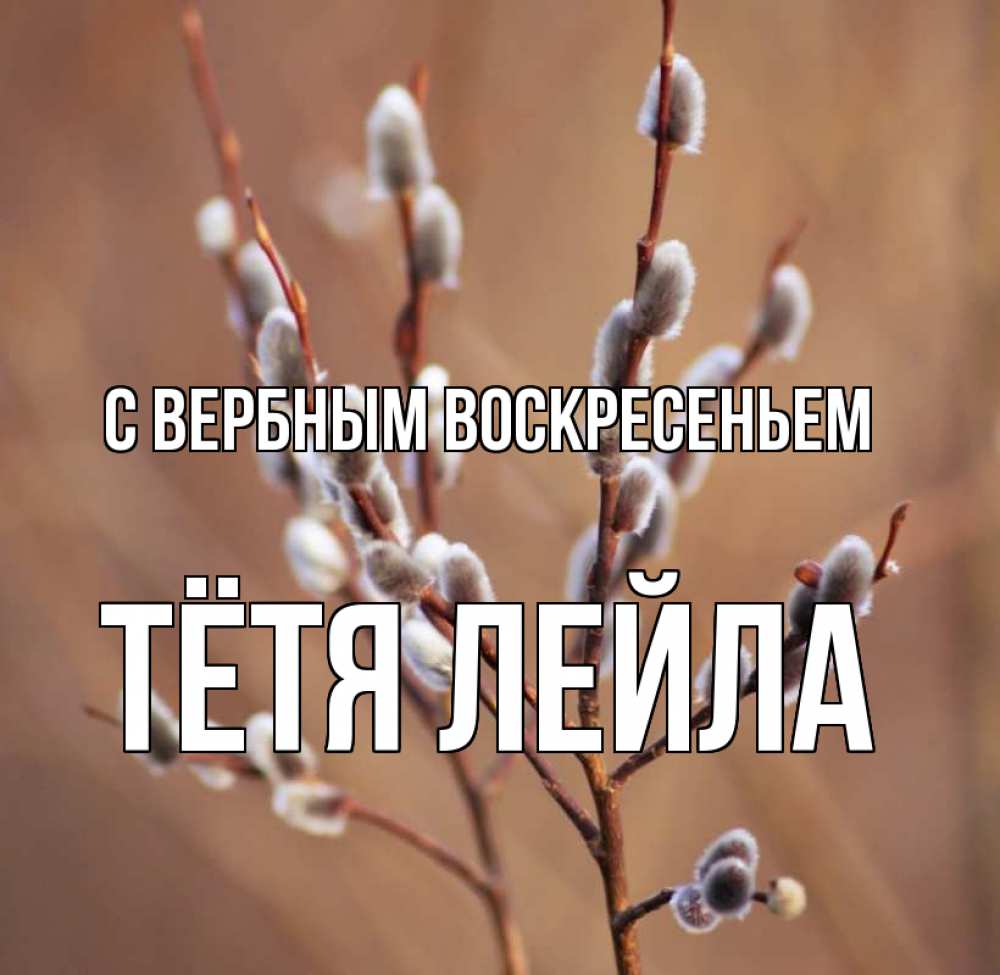 Открытка на каждый день с именем, Тётя-Лейла С вербным воскресеньем верба Прикольная открытка с пожеланием онлайн скачать бесплатно 