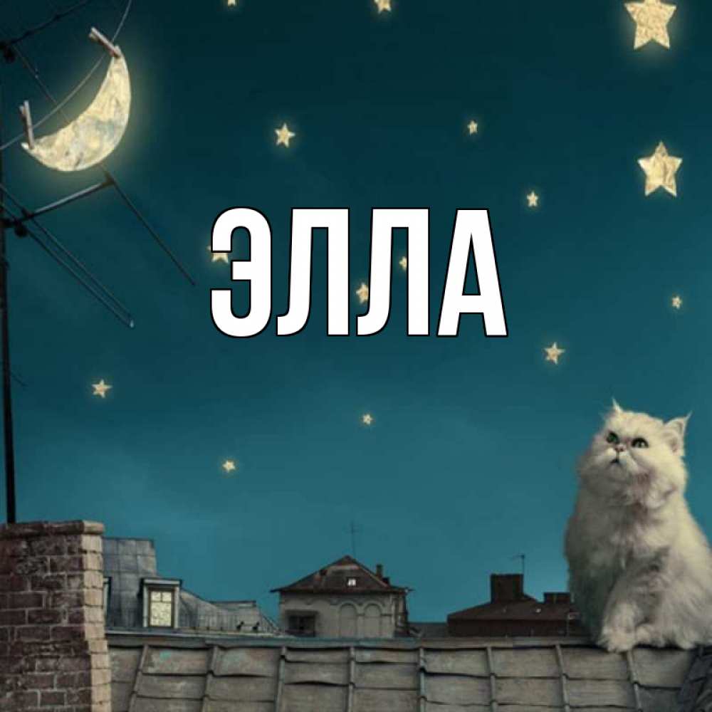 Открытка на каждый день с именем, Элла Главная белый кот сидит на крыше Прикольная открытка с пожеланием онлайн скачать бесплатно 
