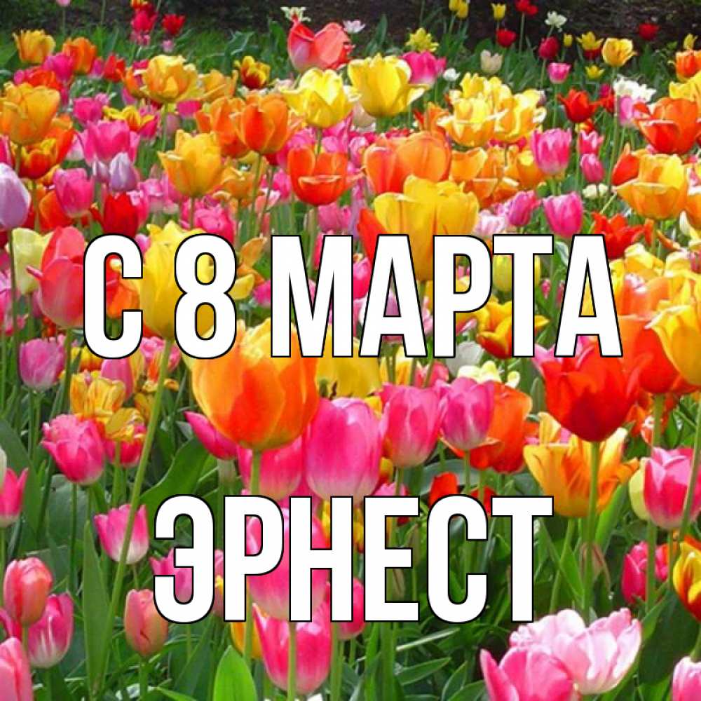 Открытка на каждый день с именем, Эрнест С 8 МАРТА на международный женский день Прикольная открытка с пожеланием онлайн скачать бесплатно 
