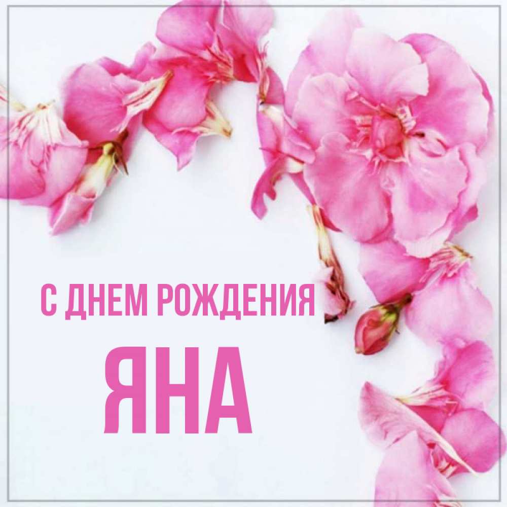 Открытка на каждый день с именем, Яна С днем рождения Красивая открытка для поздравления с днем рождения Прикольная открытка с пожеланием онлайн скачать бесплатно 