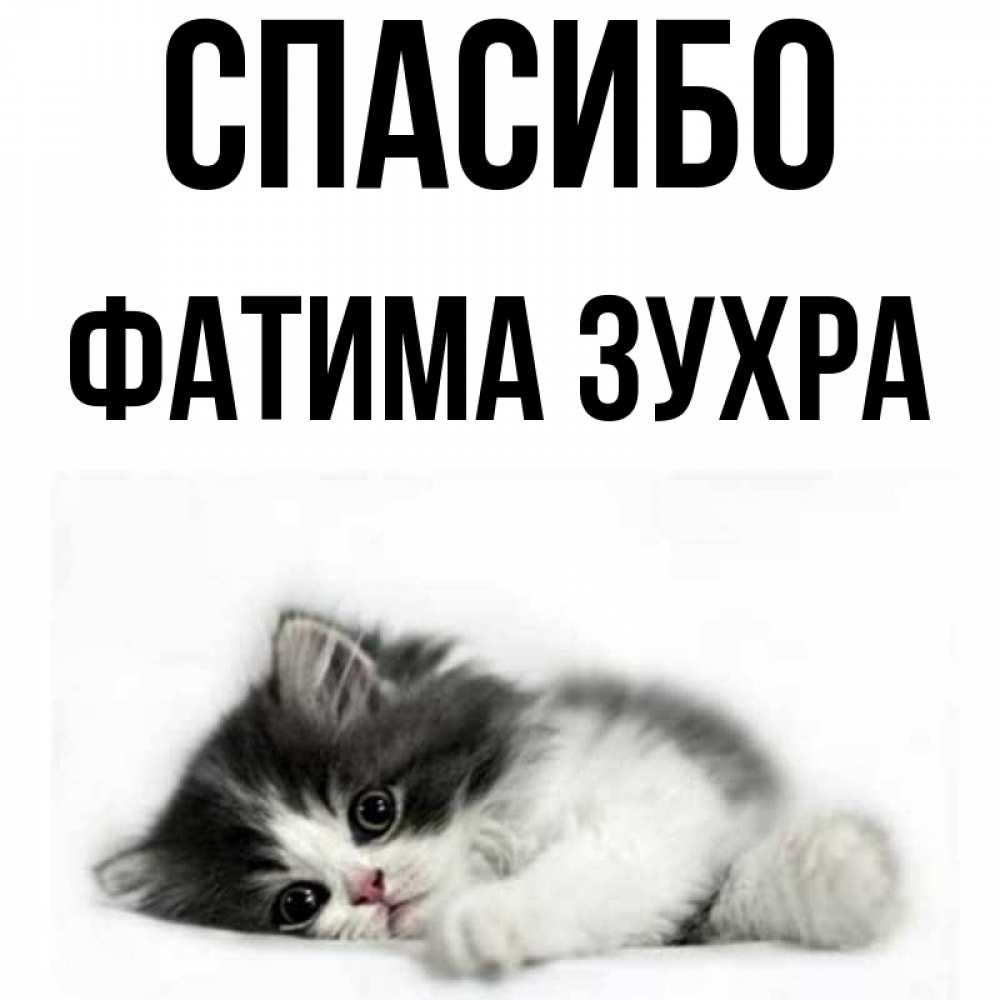 Открытки новый, спасибо алексей открытки