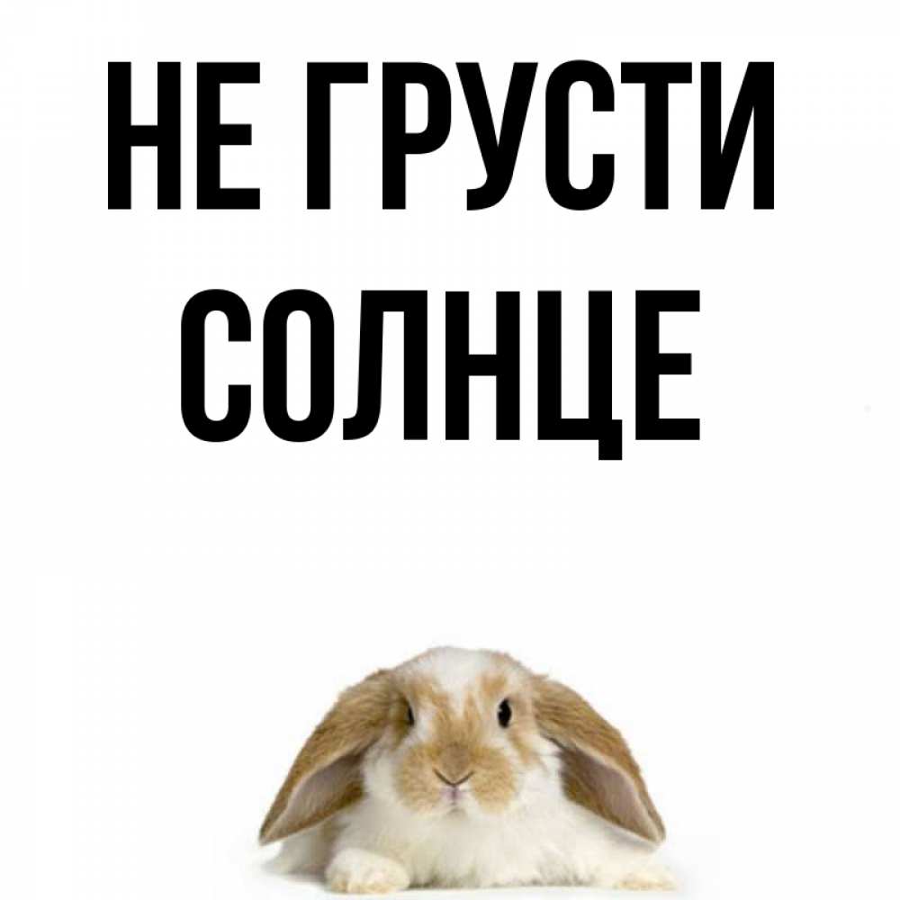 Не грусти солнышко картинки
