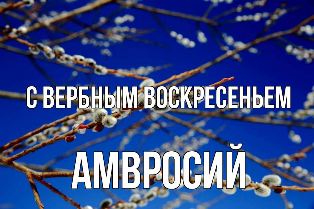 Открытка на каждый день с именем, Амвросий С вербным воскресеньем верба Прикольная открытка с пожеланием онлайн скачать бесплатно 