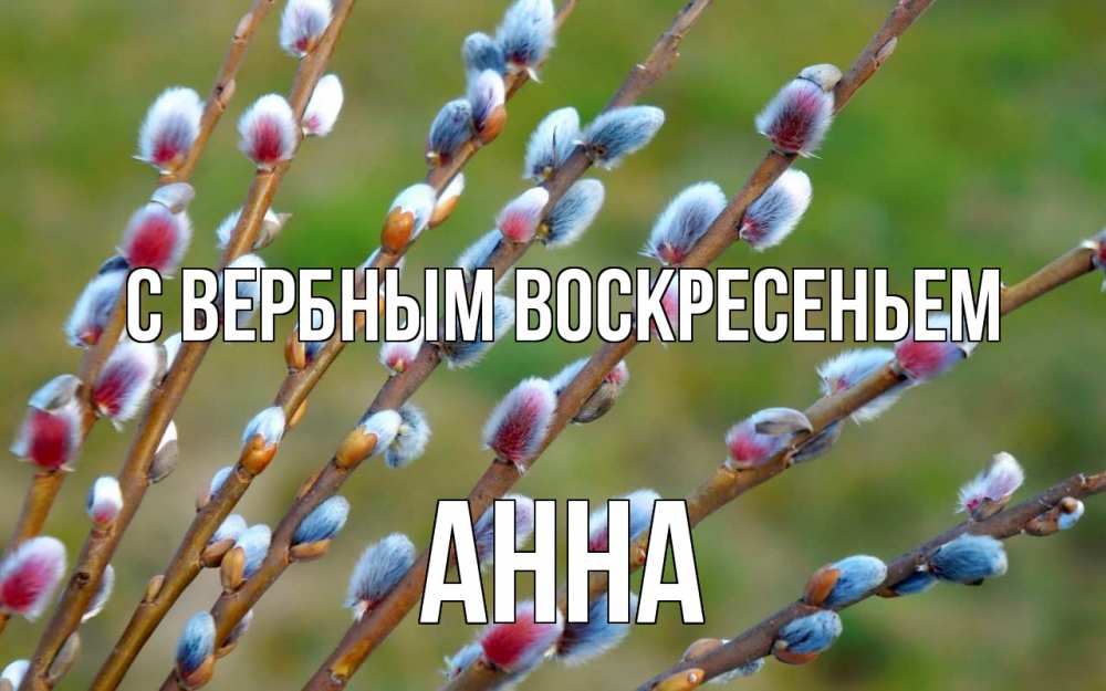 Открытка на каждый день с именем, Анна С вербным воскресеньем верба Прикольная открытка с пожеланием онлайн скачать бесплатно 