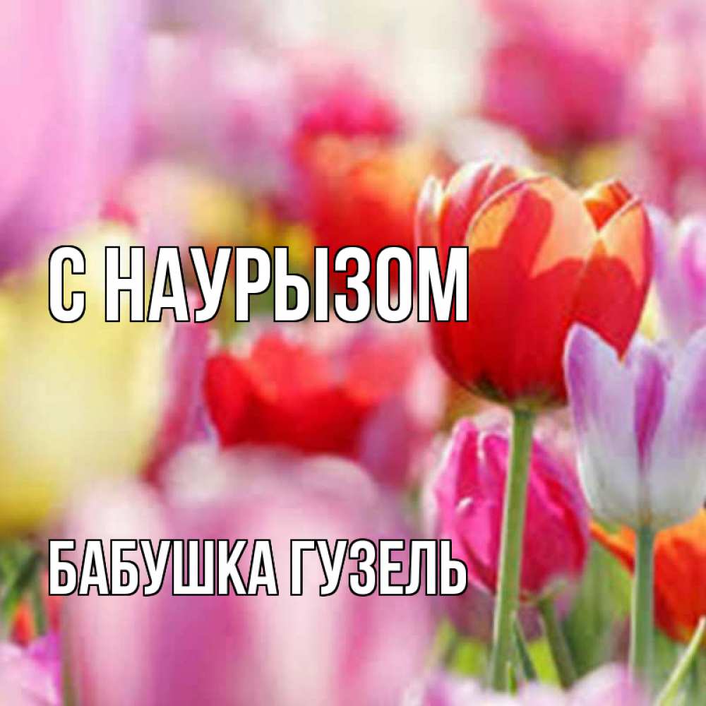Открытка на каждый день с именем, Бабушка-Гузель С наурызом праздник весны наурыз 67 Прикольная открытка с пожеланием онлайн скачать бесплатно 